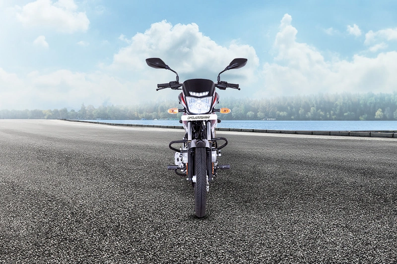 Bajaj Platina 100