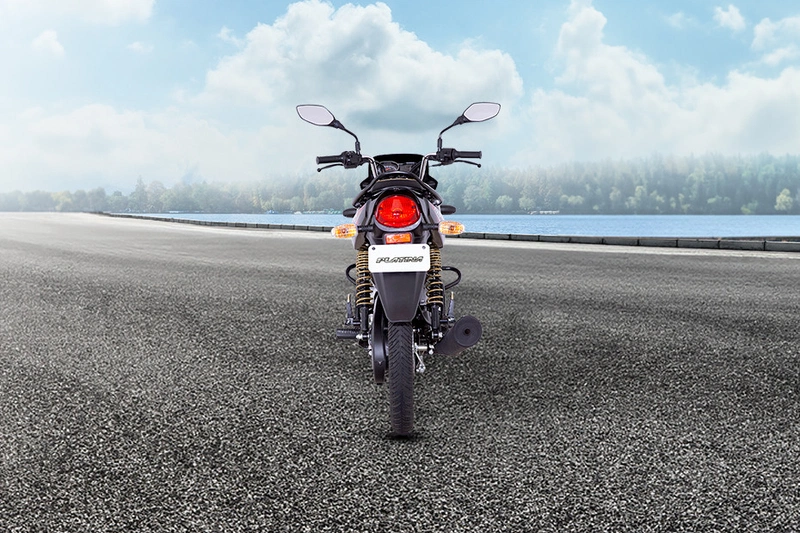 Bajaj Platina 100