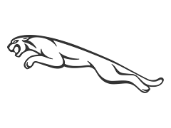 Jaguar Image
