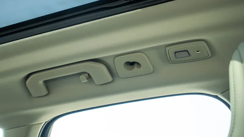 Rear roof grab handle and light