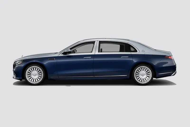 Side Profile View (Left)