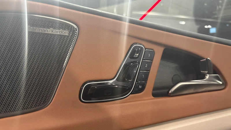 Harman Kardon speaker grille on front door