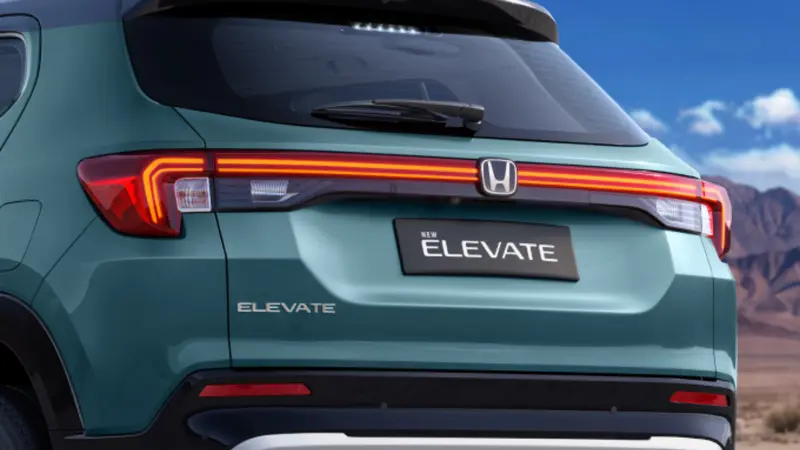Taillight