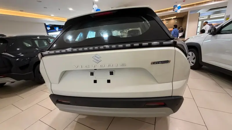 rear profile