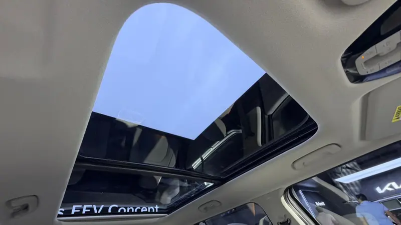 Sunroof (Inside View)