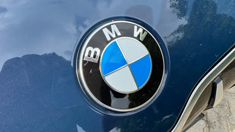 badge on bonnet