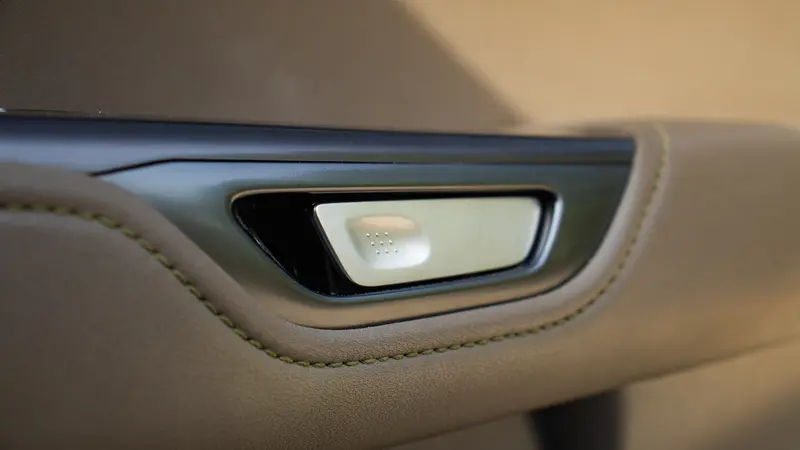 350h AWD Interior door handle