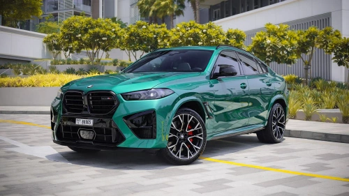BMW X6 Image