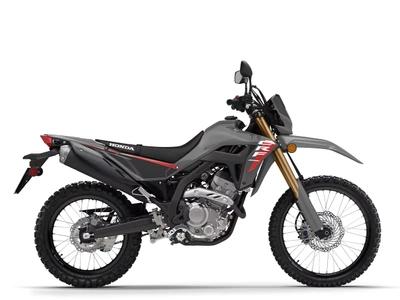 Honda CRF300L Image