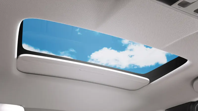Sunroof (Inside View)