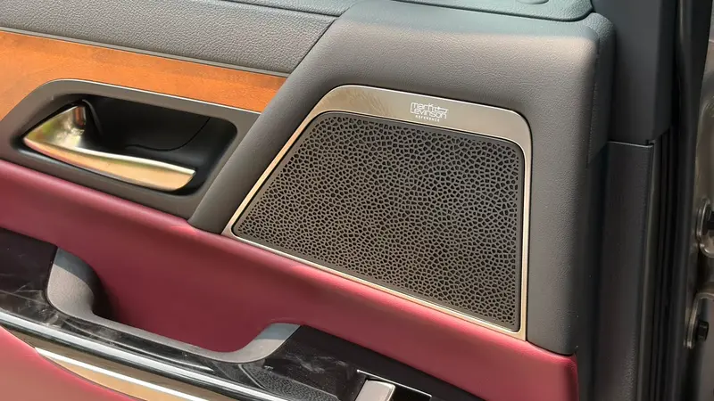 Mark Levinson door speaker