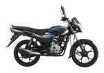 Bajaj Platina 110