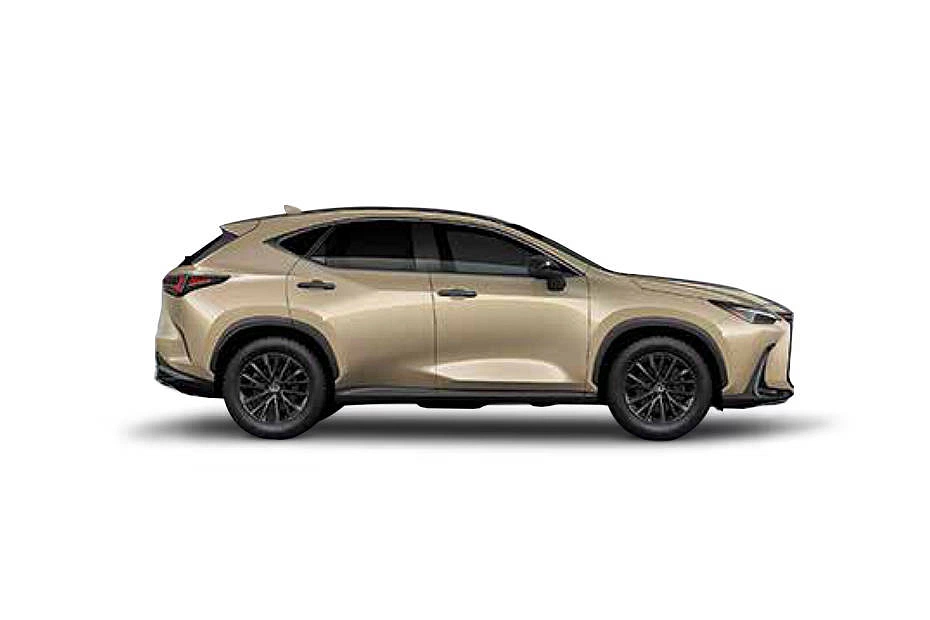 Lexus NX Moon Desert