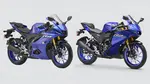 Yamaha YZF R2 vs R15: Which One Should You Buy?