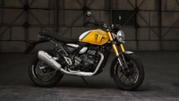 Bajaj Says Every Motorcycle Sold In The Last Decade Is E20 Fuel Compliant