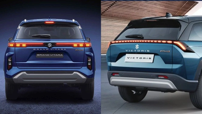 grand Vitara vs victoris ear design 
