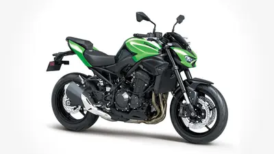 Kawasaki Z300 Unveiled In India, Bookings Starting 19th October