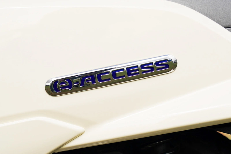 Suzuki e Access