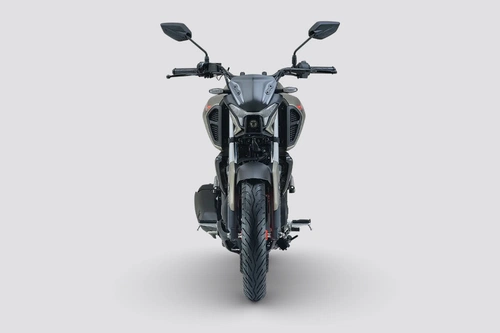 Yamaha FZ-RAVE Image